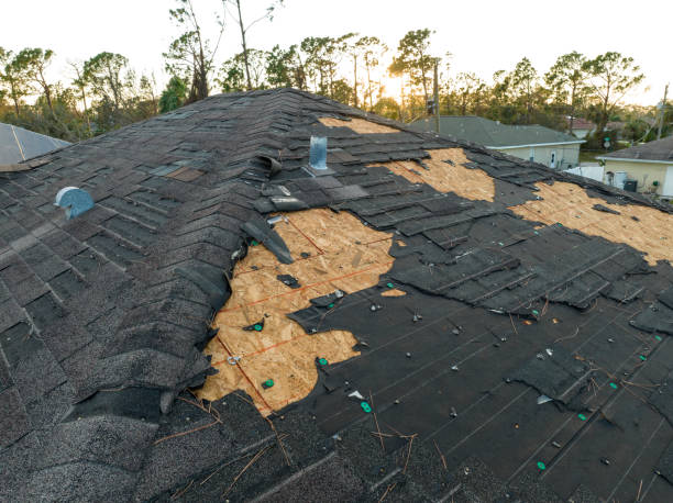 Texas City, TX Roofing service Company